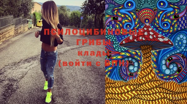 синтетический гашиш Алексеевка