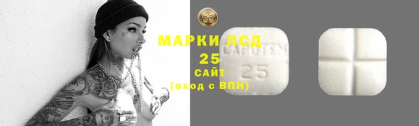 ALPHA-PVP Аркадак