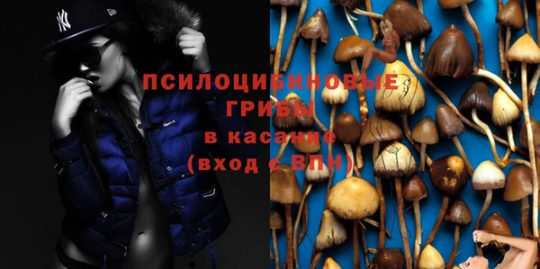 мет Алексин