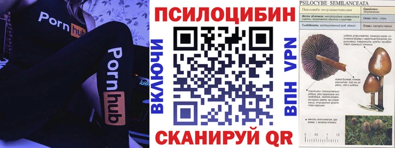 Галлюциногенные грибы GOLDEN TEACHER  Пушкино 